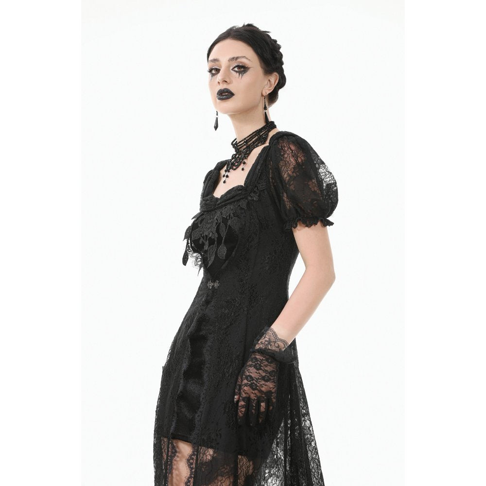 Dark in Love Morwenna Lace Gothic Maxi Dress in Black