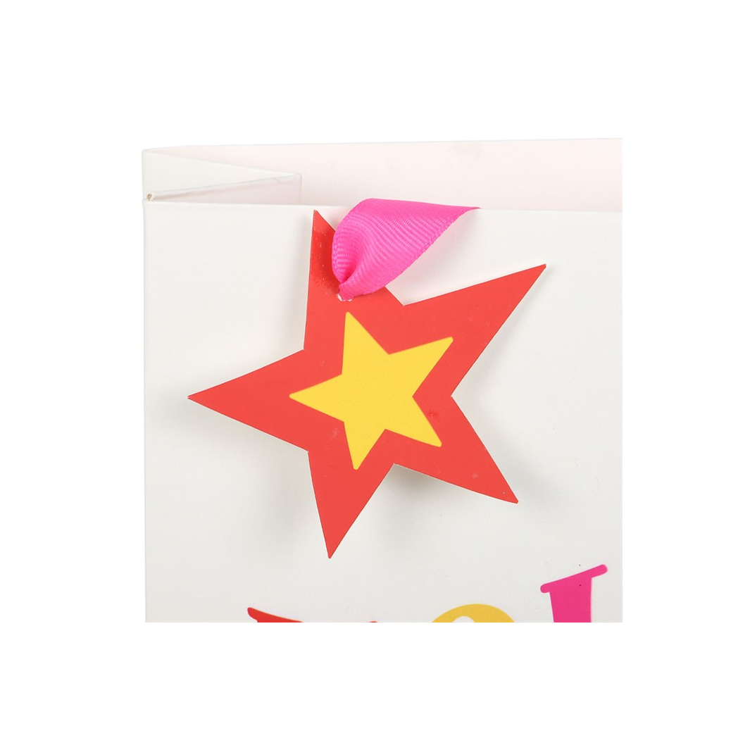 23cm Holly Jolly Gift Bag