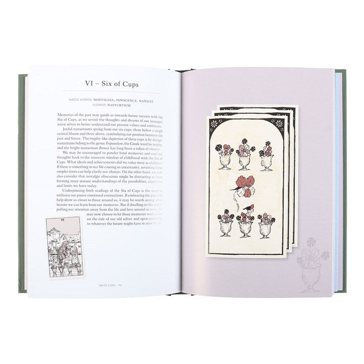 You Will Be Able to Read Tarot by the End of This Book