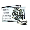 Zebra Jasper Crystal & Guide Pack