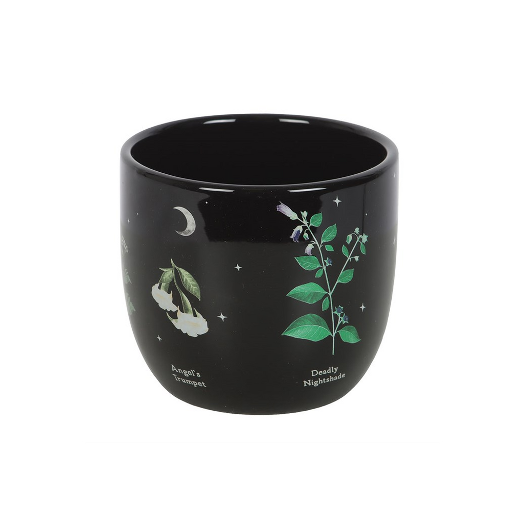 Poisonous Plants Plant Pot