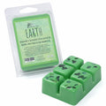 Earth Elements - Crystal Infused Scented Wax Melts