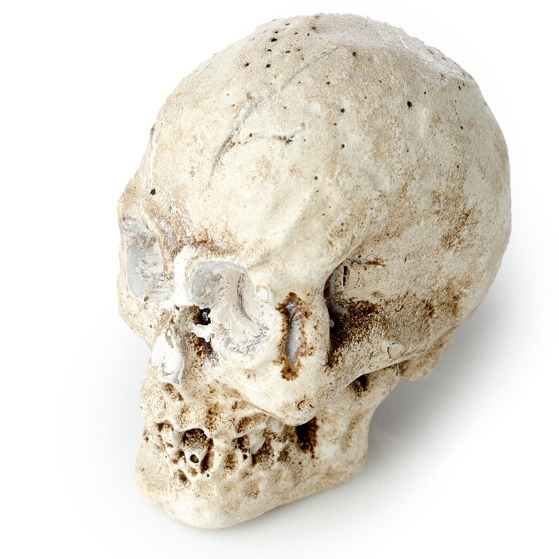 Gothic Gifts Skull Dig It Out Kit